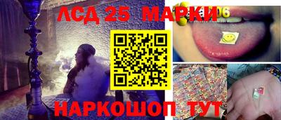 мет Кингисепп