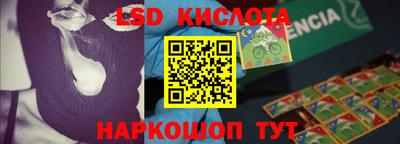 мет Кингисепп