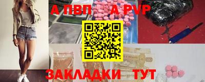 мет Кингисепп