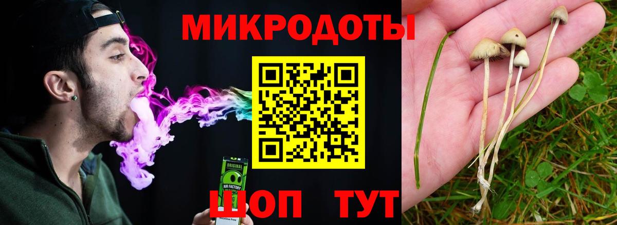 Галлюциногенные грибы прущие грибы Валуйки